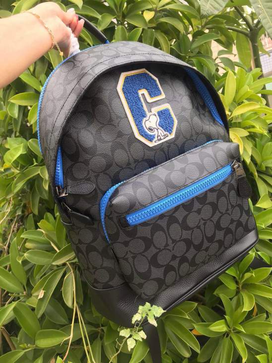 Picture of Coach Mens Bags _SKUfw213825812fw